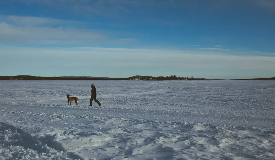 Persone lontane su una distesa ghiacciata.