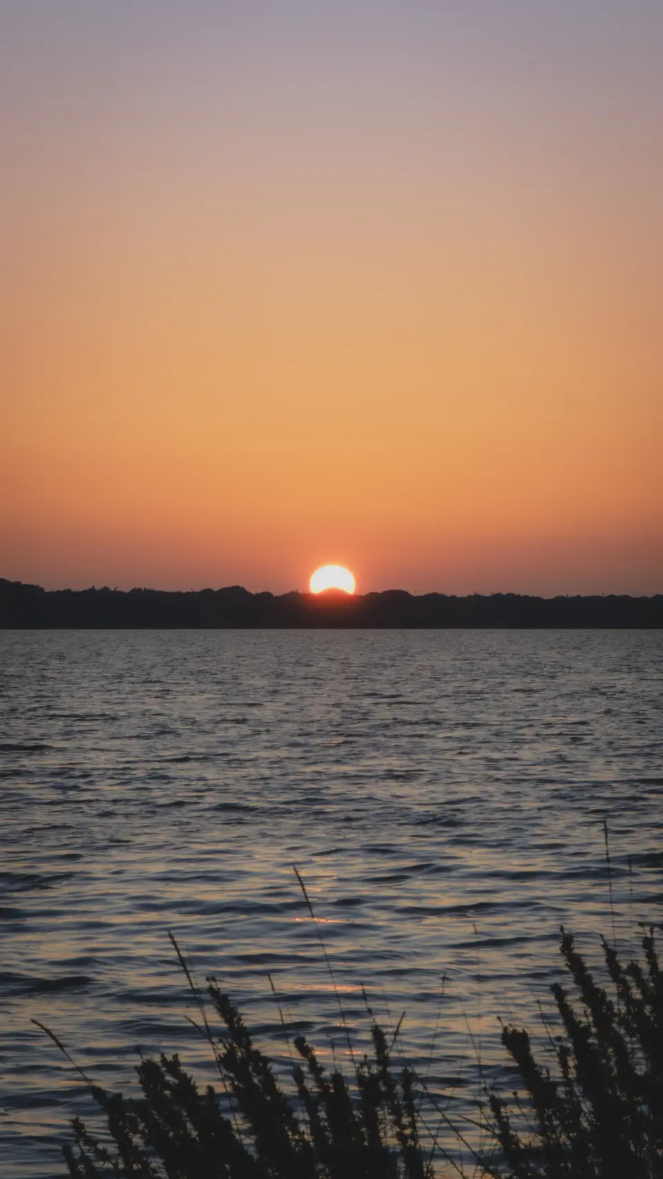 Sole al tramonto sul mare.