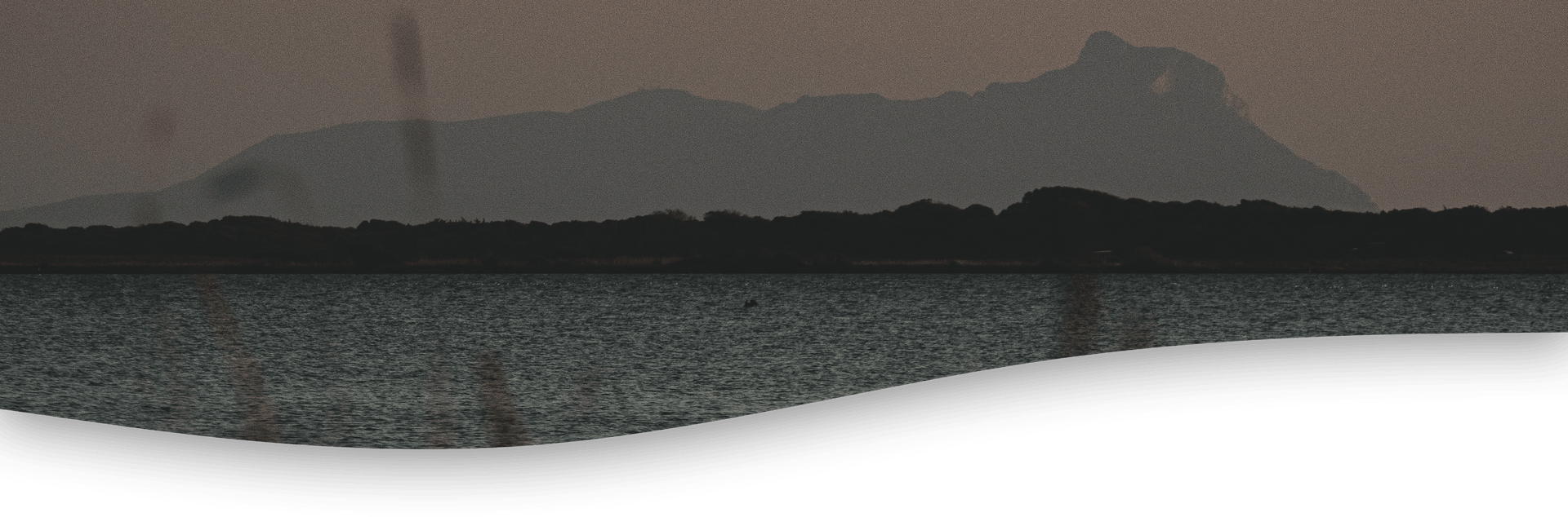 Texture astratta con onde